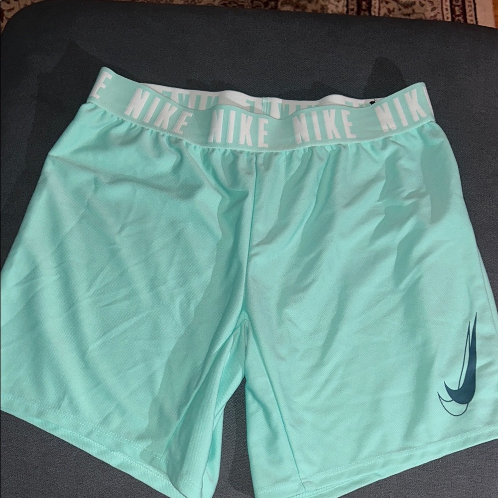 Nike Aqua Blue Performance Shorts